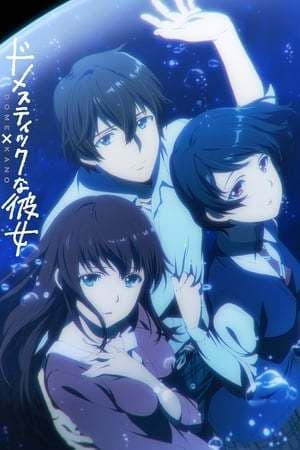 Serie Domestic na Kanojo Especiales