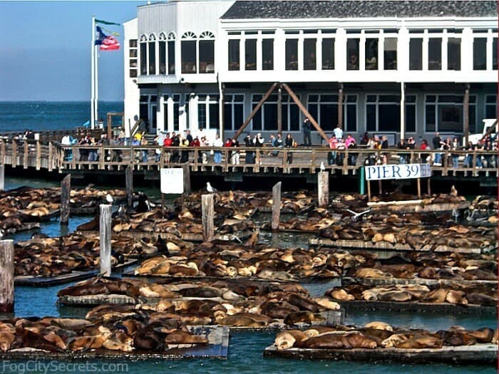 Lugar PIER 39