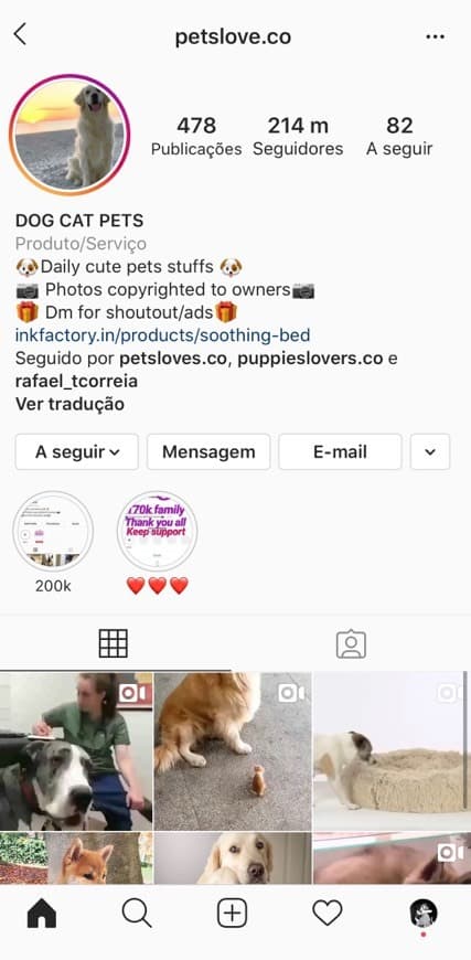 Moda Petslove.co