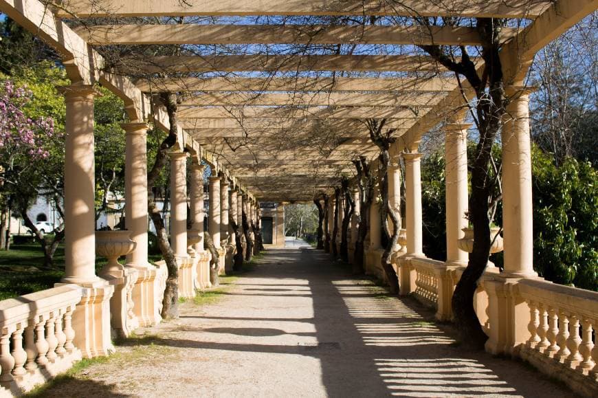 Place Parque da Macaca