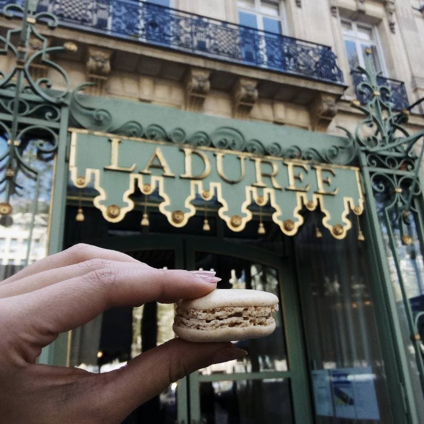 Restaurants Ladurée Paris Champs Elysées