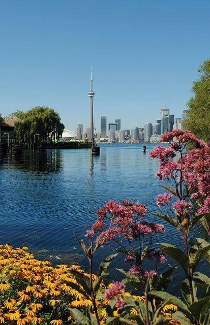 Place Lake Shore Boulevard West