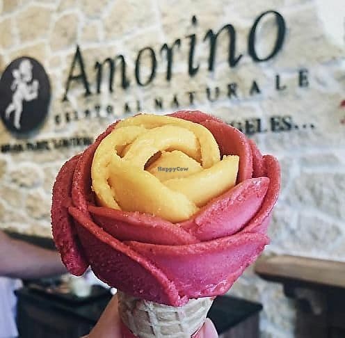 Restaurantes Amorino Gelato and Cafe