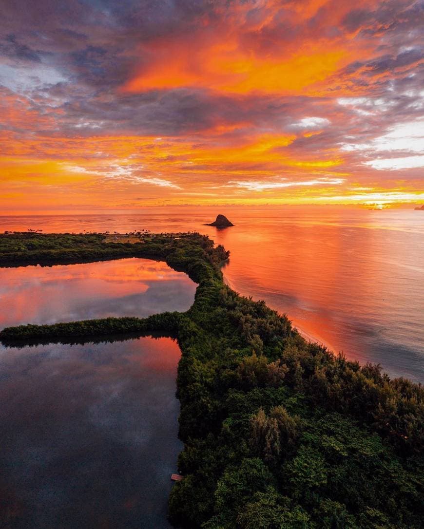 Lugar Oahu