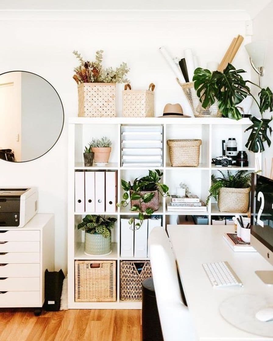 Moda Workspace