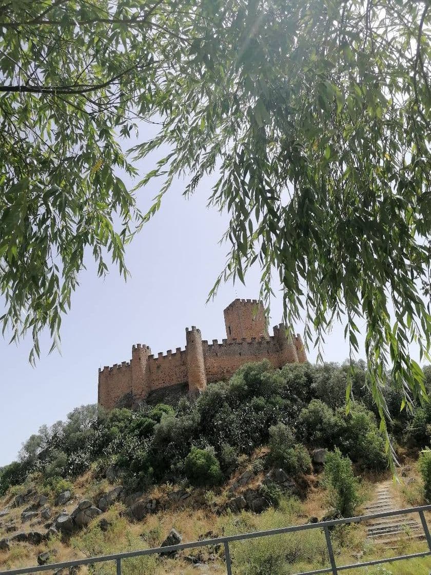 Place Castelo de Almourol