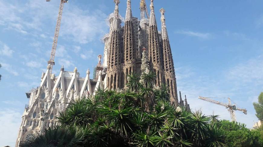 Lugar Basílica Sagrada Familia