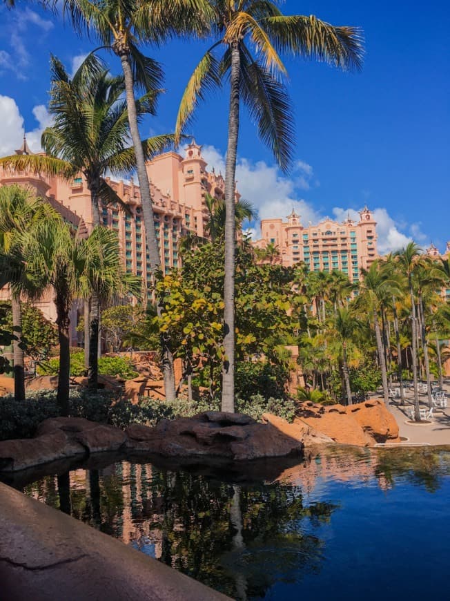 Restaurantes Atlantis Paradise Island