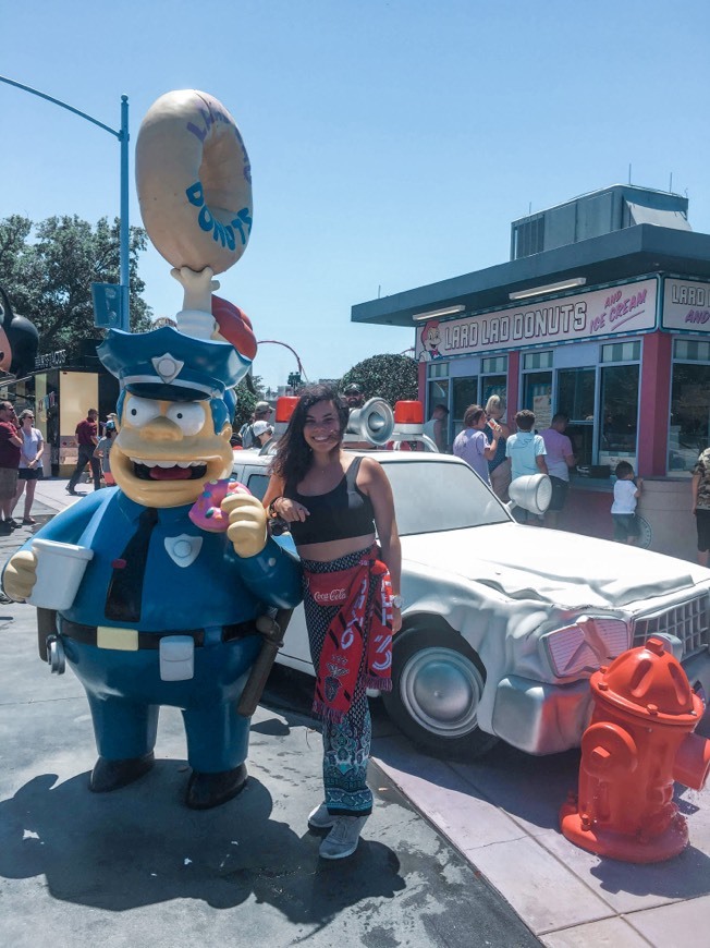 Lugar The Simpsons Ride