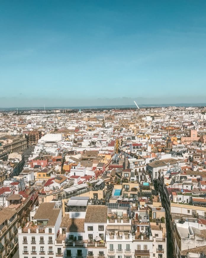 Place Catedral de Sevilla