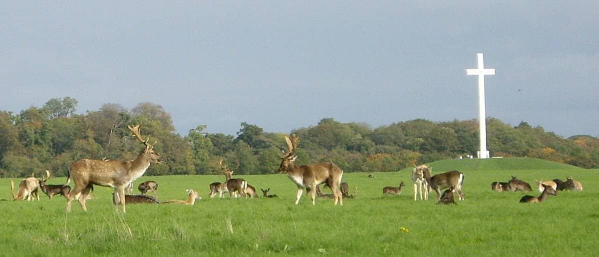 Lugar Phoenix Park