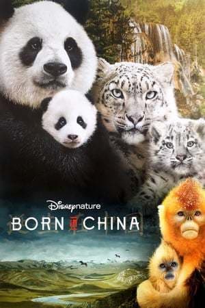 Movie Born in China