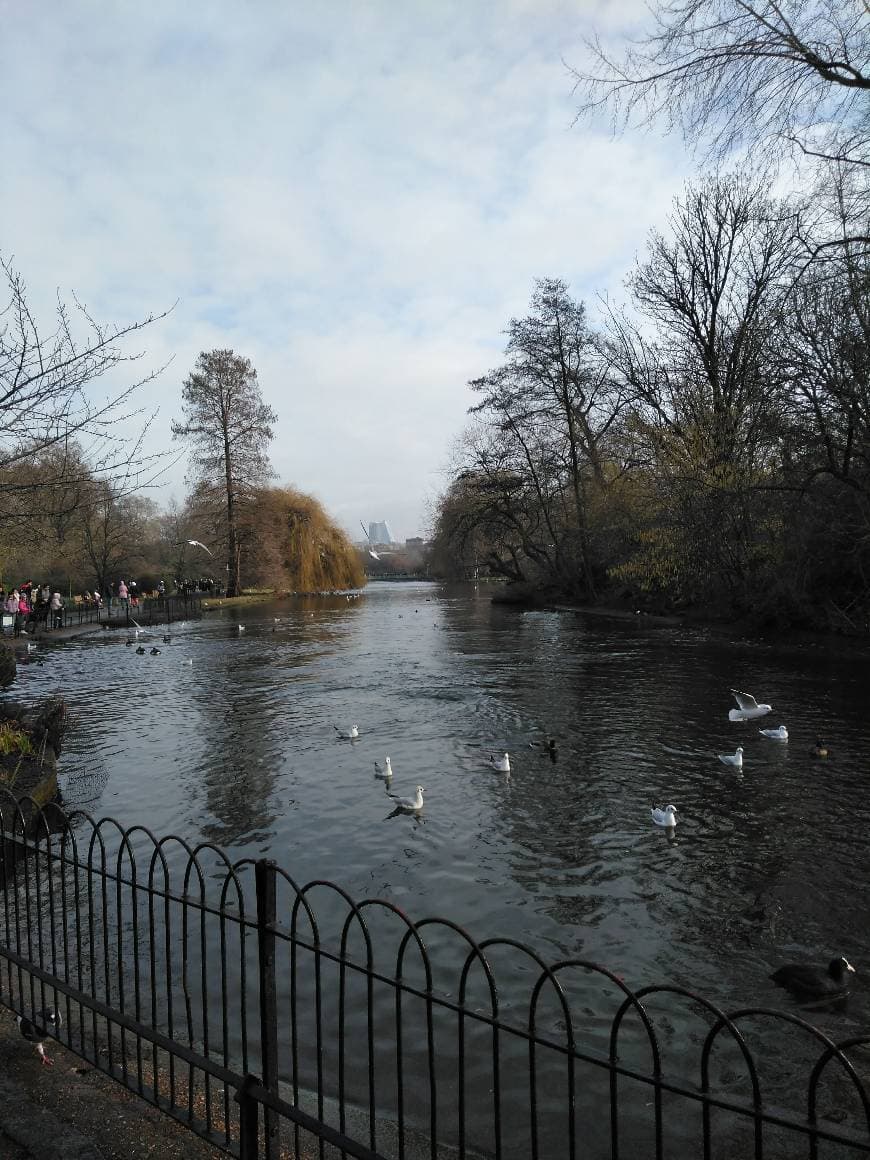 Place St. James's Park