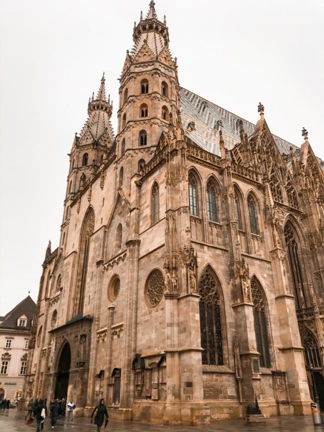 Place Catedral de Viena