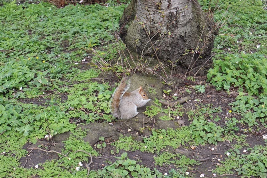 Place St. James's Park