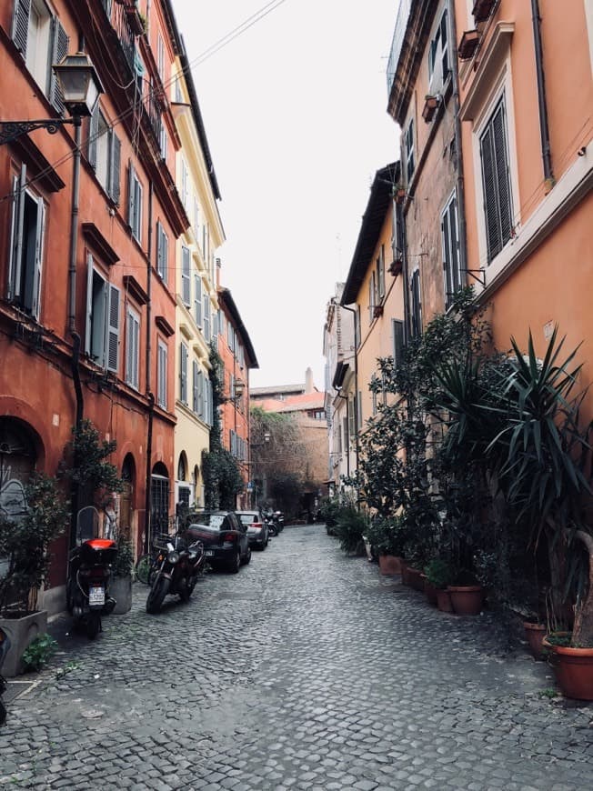 Place Trastevere Barrio