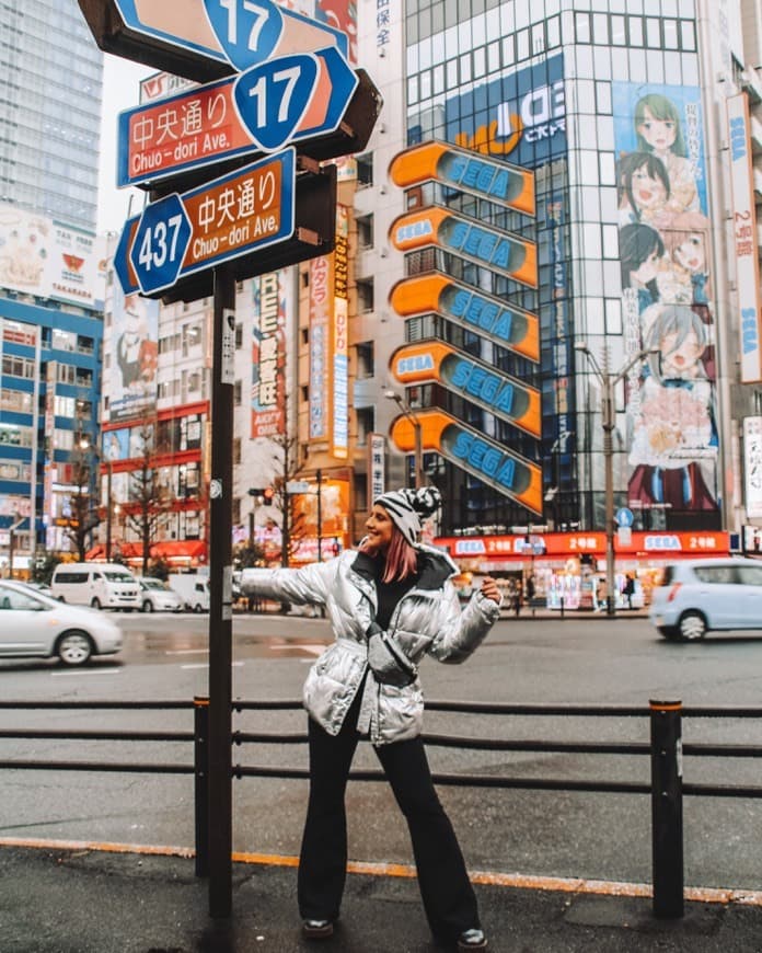 Place Akihabara