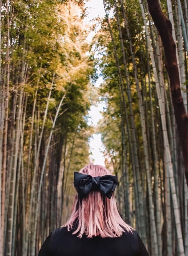 Place Bamboo forest