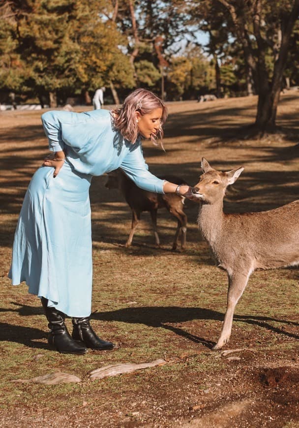 Place Nara Park