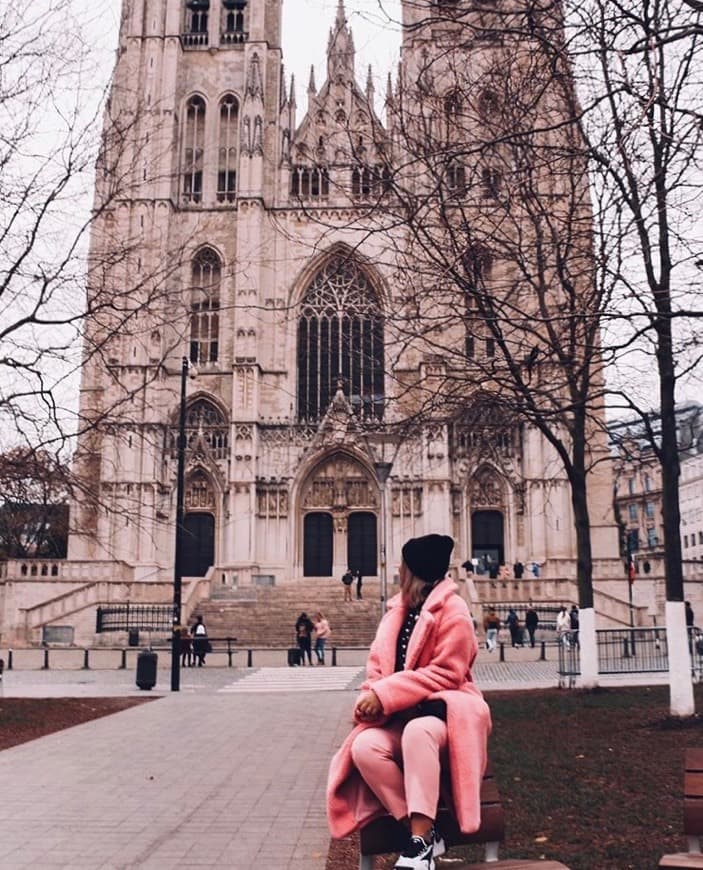 Place Catedral de San Miguel y Santa Gúdula de Bruselas