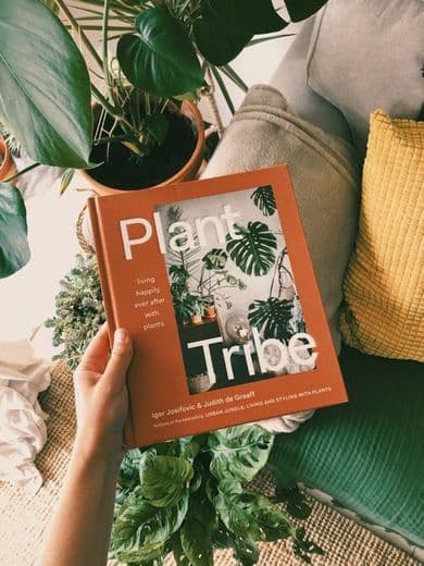 Producto Plant Tribe 