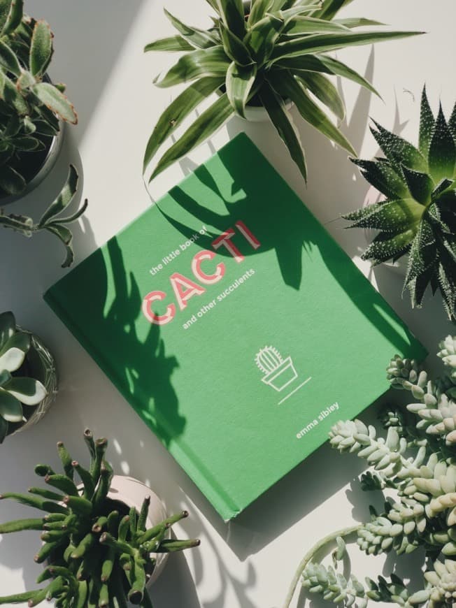 Libro The Little Book of Cacti and Other Succulents