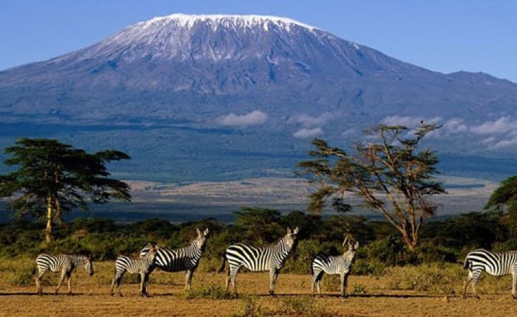 Place Kilimanjaro