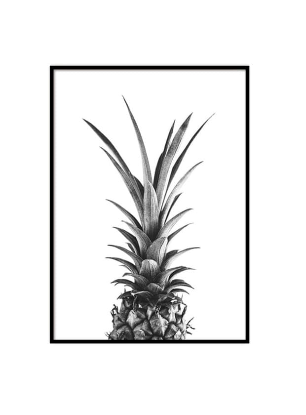 Producto Pineapple B&W