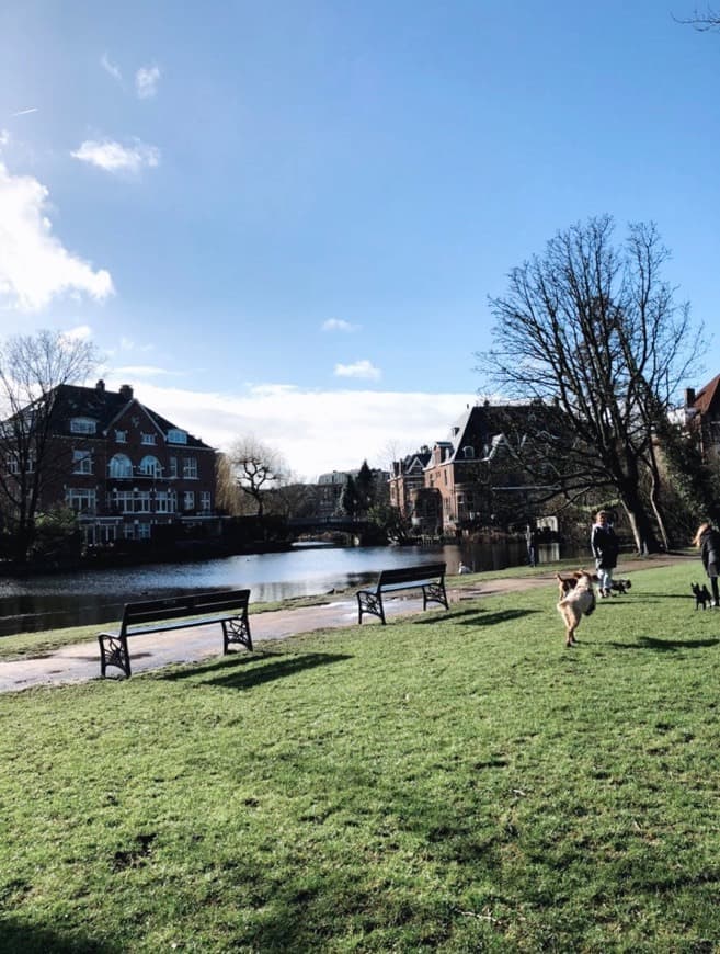 Restaurantes Vondelpark