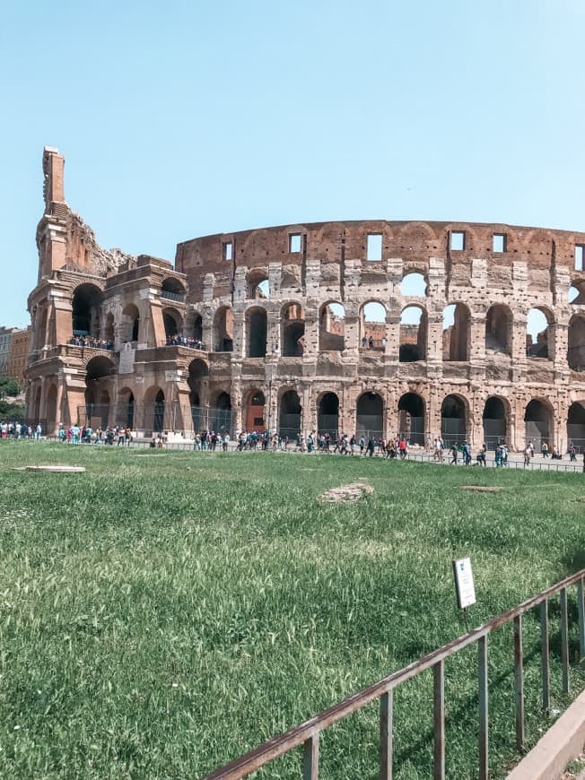 Lugar Coliseo de Roma