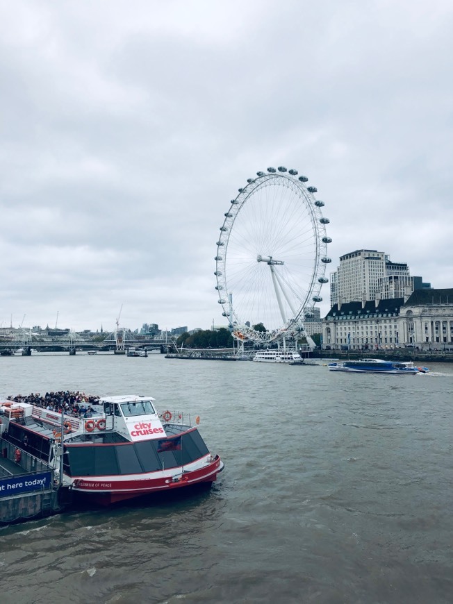 Place London Eye