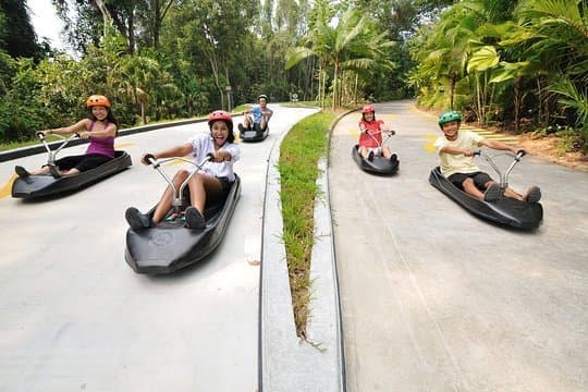 Lugar Skyline Luge Sentosa