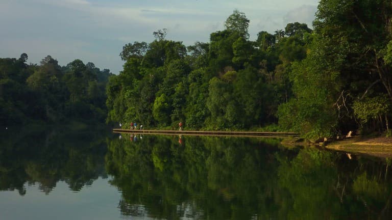 Lugar MacRitchie Reservoir