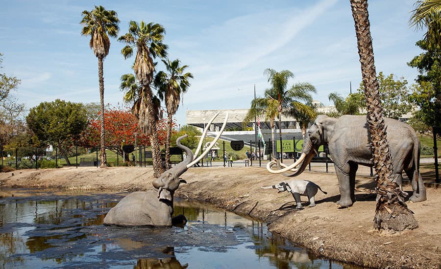 Lugar La Brea Tar Pits