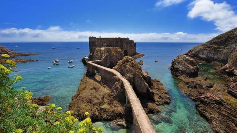 Place Berlengas Natural Reserve