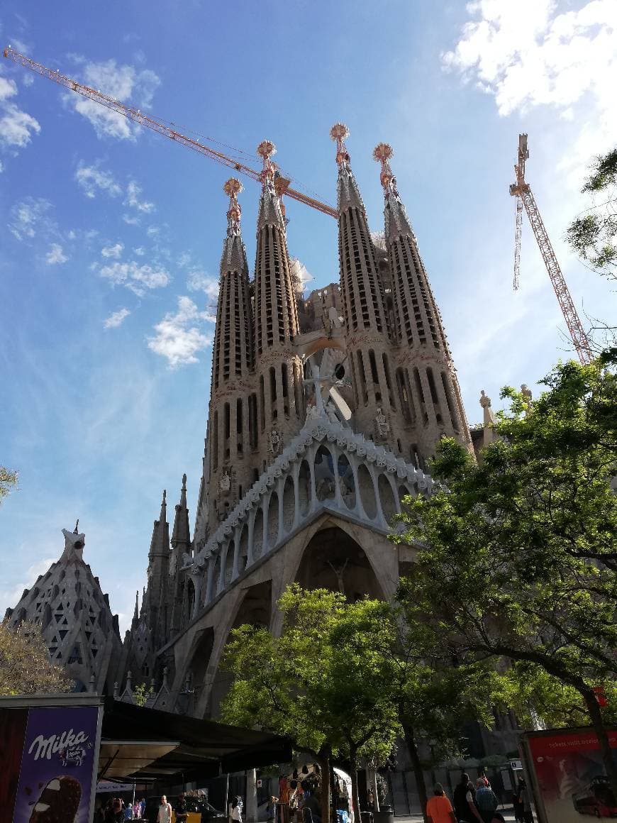 Lugar Basílica Sagrada Familia