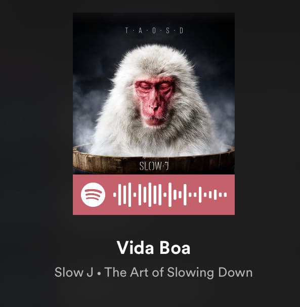 Canción Vida Boa