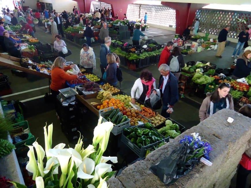 Lugar Mercado Municipal