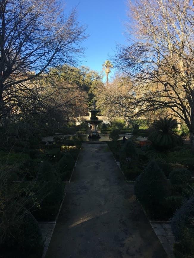 Lugar Jardim Botânico da Universidade de Coimbra