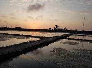 Lugar Salinas de Aveiro