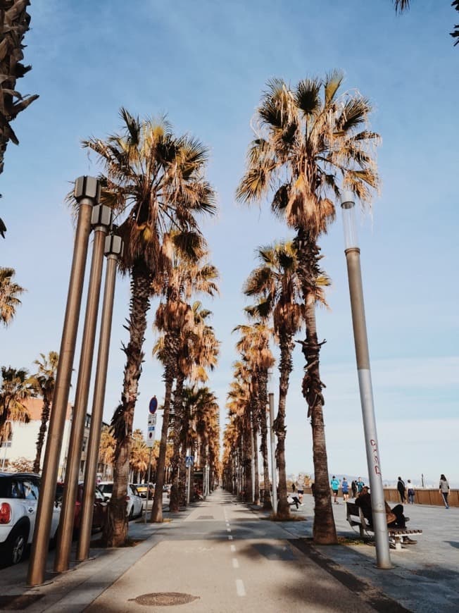 Place La Barceloneta