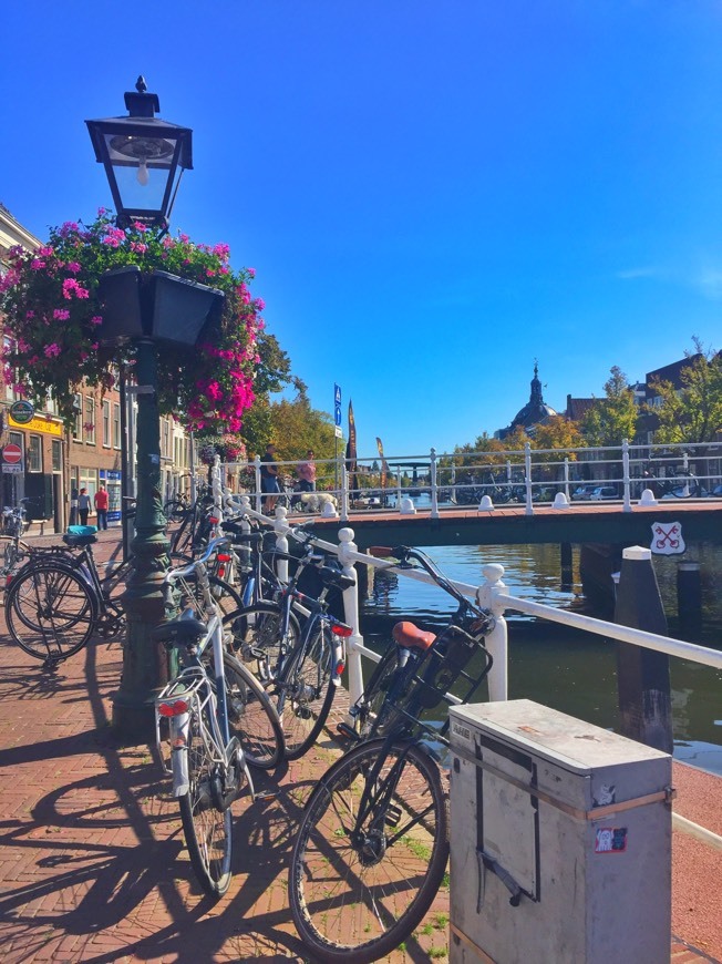 Place Leiden, Holland