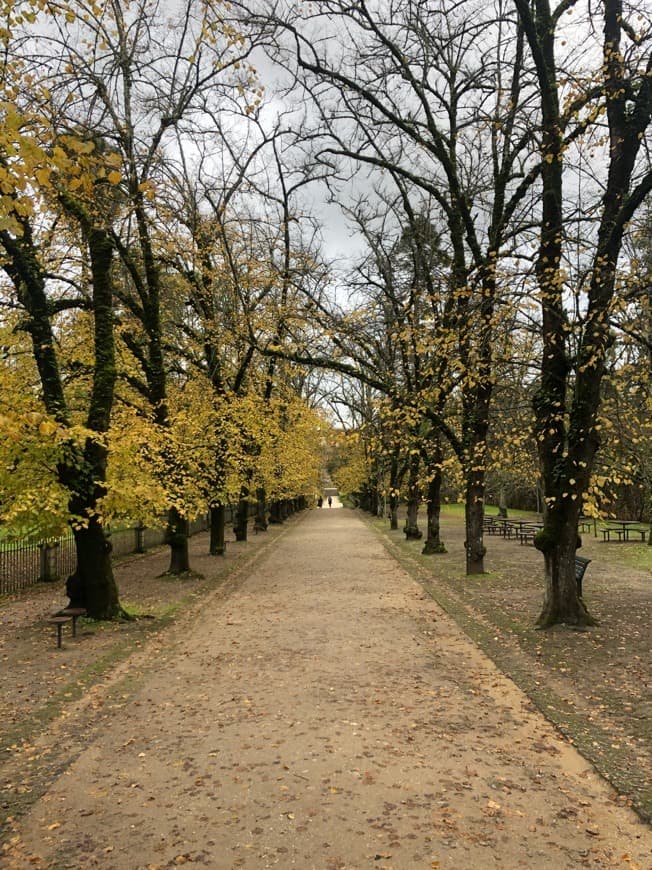 Fashion 📍Jardim Botânico II