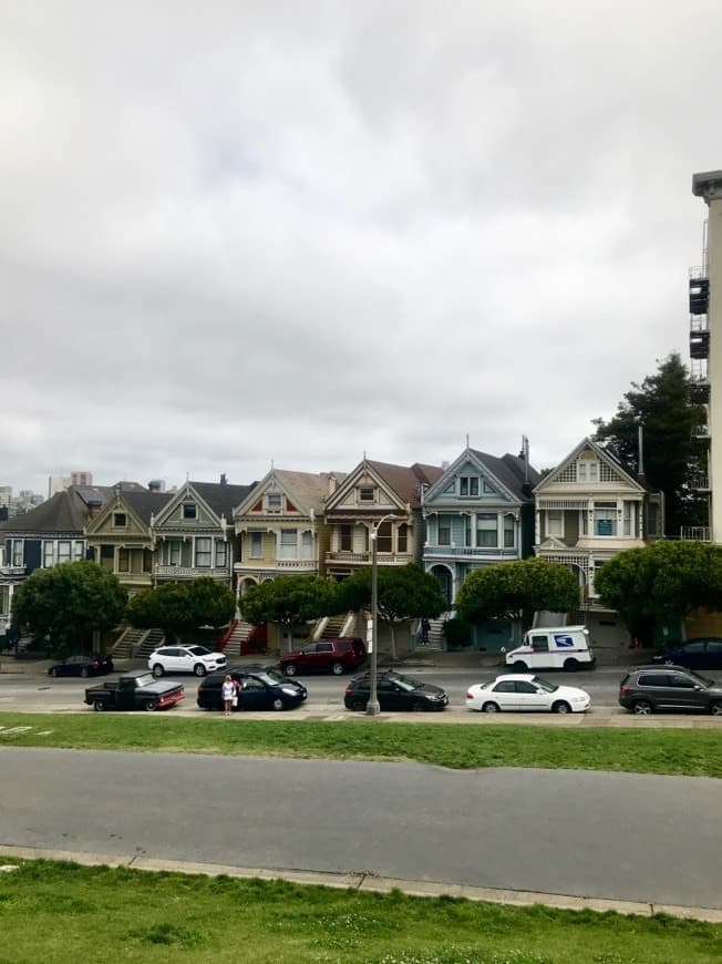 Place Painted Ladies