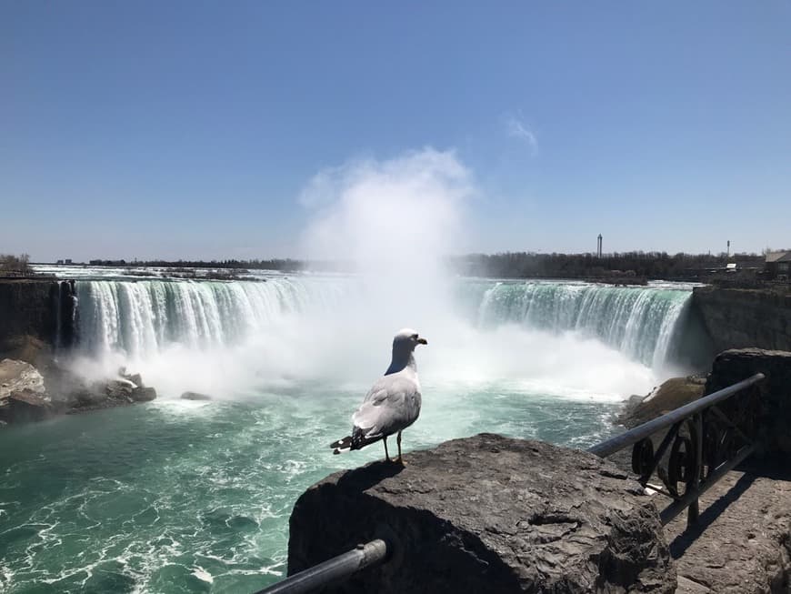 Place Niagara Falls