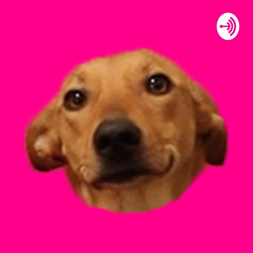 Moda Os Animais Também Falam Podcast