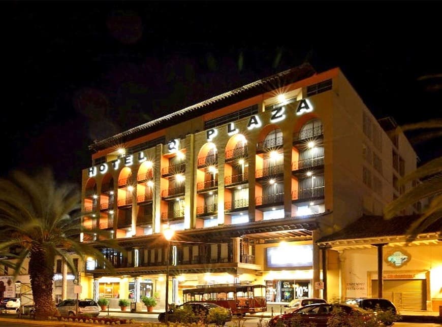 Place Hotel Plaza Uruapan