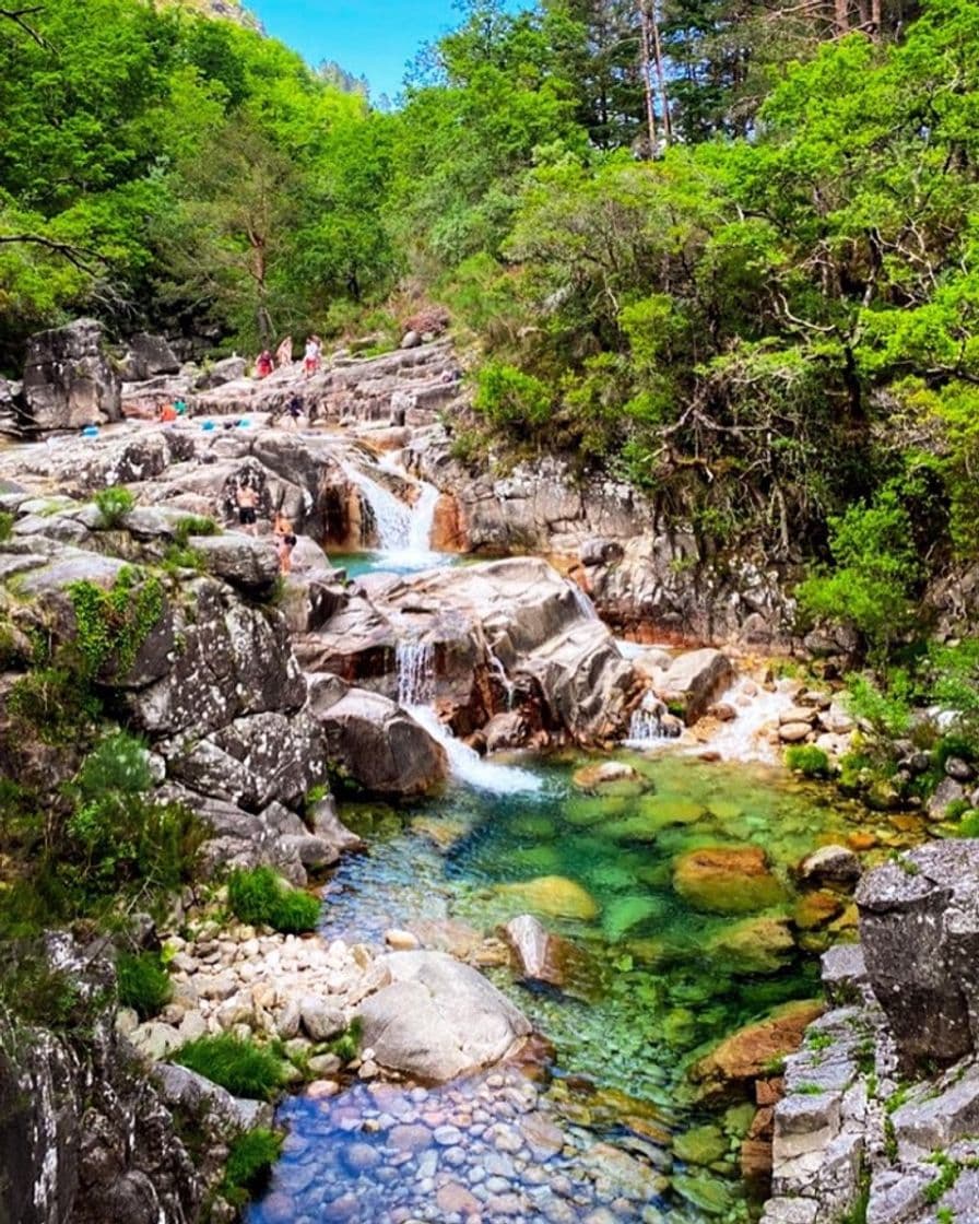 Lugar Mata da Albergaria - Gerês 🌱