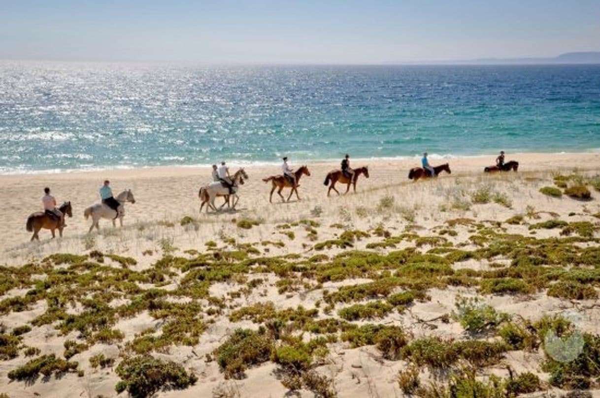 Moda Cavalos na Areia 🐎