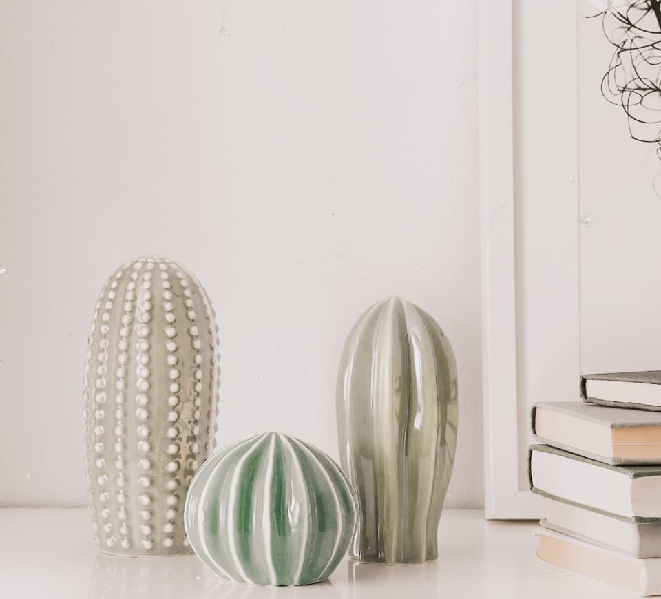 Producto CONJUNTO DE CACTUS DECOR IKEA